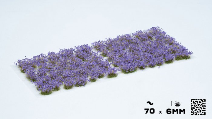 Violet Flowers